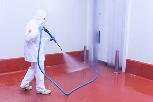 Best Boat and Dock Cleaning  in Calhoun, GA